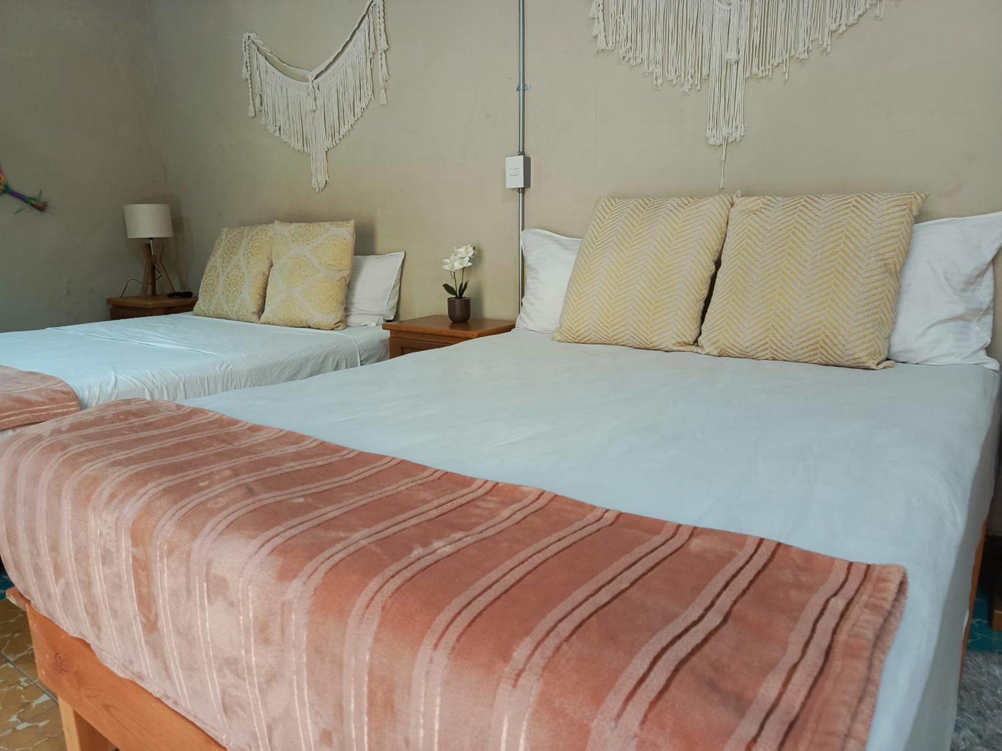 Bokatrip El Llano Hotel Oaxaca Ngoại thất bức ảnh